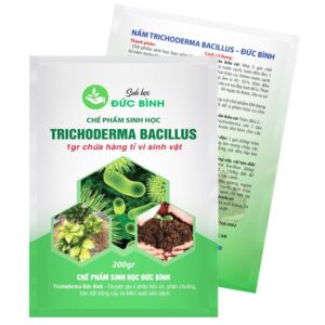 Chế phẩm vi sinh nấm Trichoderma Bacillsu Đức Bình