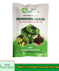 Chế phẩm trichoderma bacillus chuyên ủ phân