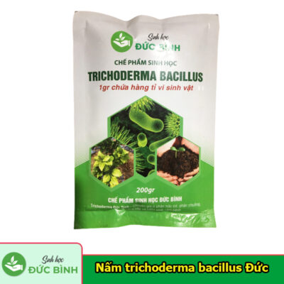 Nấm Trichoderma Bacillus