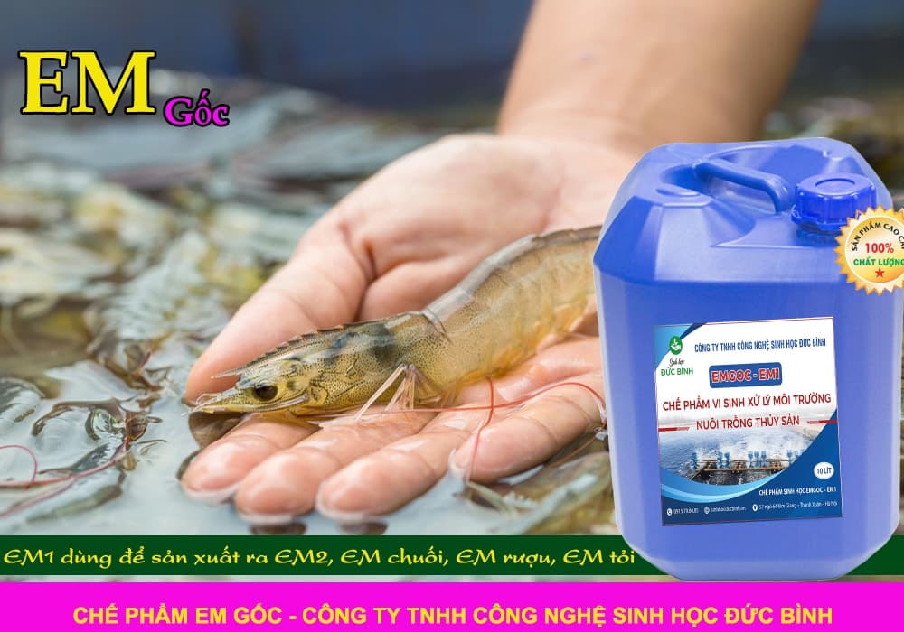 Chế phẩm sinh học EM gốc- EM1