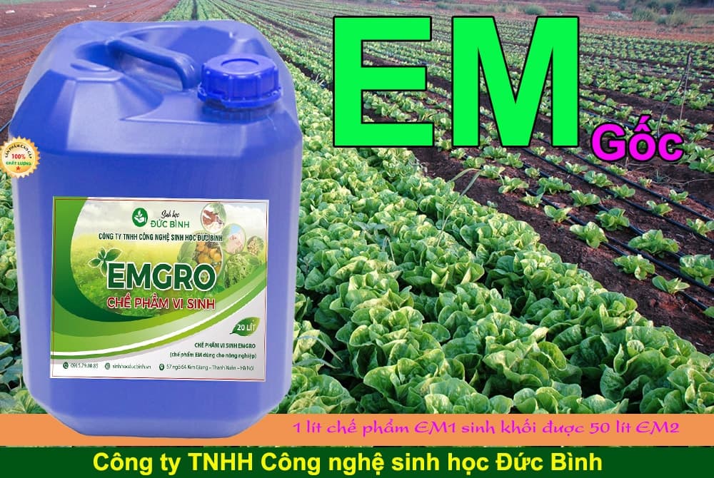 Chế phẩm sinh học EM trong nông nghiệp