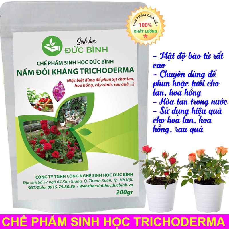 Chế phẩm sinh học Trichoderma Đức Bình
