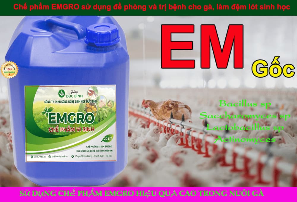 Cách sử dụng chế phẩm sinh học EMGRO - chế phẩm EM1