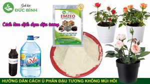 Cách ủ phân đậu nành tưới cây