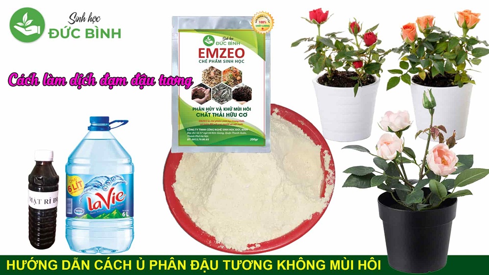 Cách ủ phân đậu nành tưới cây
