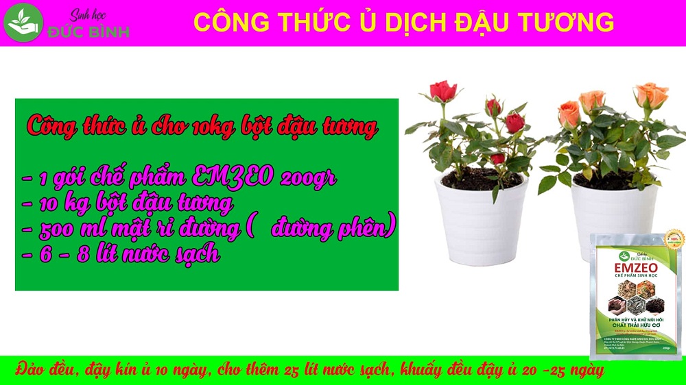 Công thức ủ đậu nành làm phân bón hữu cơ cho cây trồng