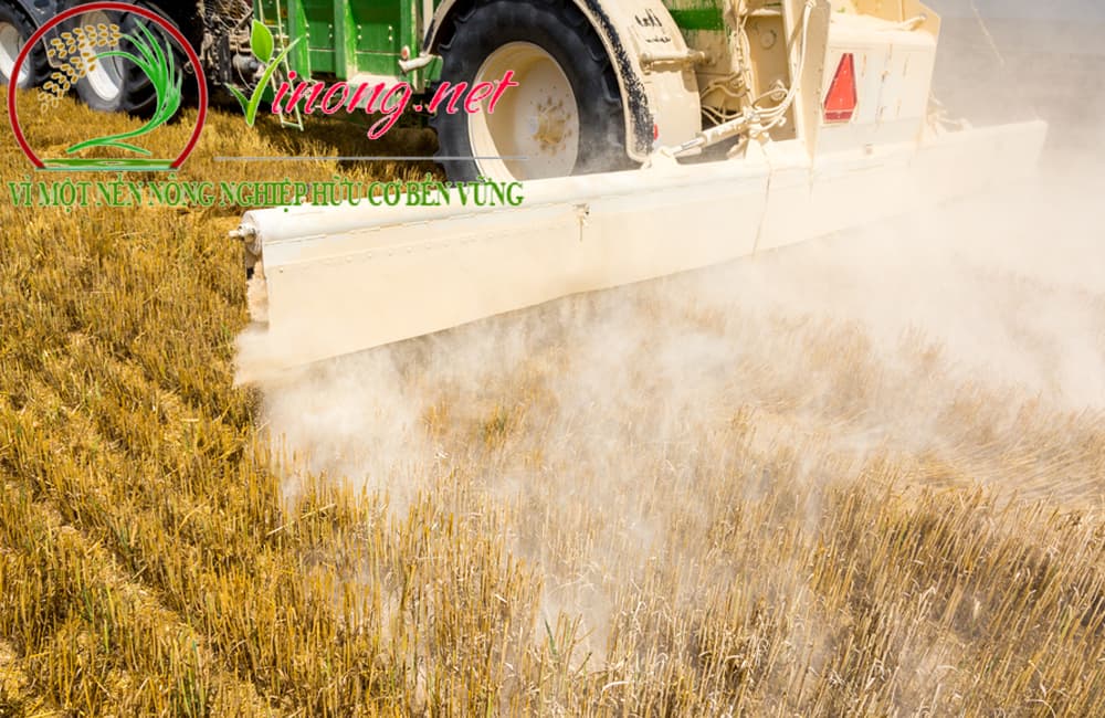 các loại vôi sử dụng trong nông nghiệp