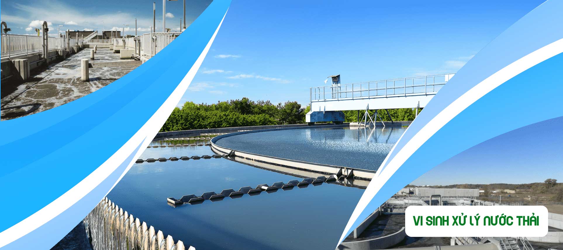Men vi sinh xử lý nước thải