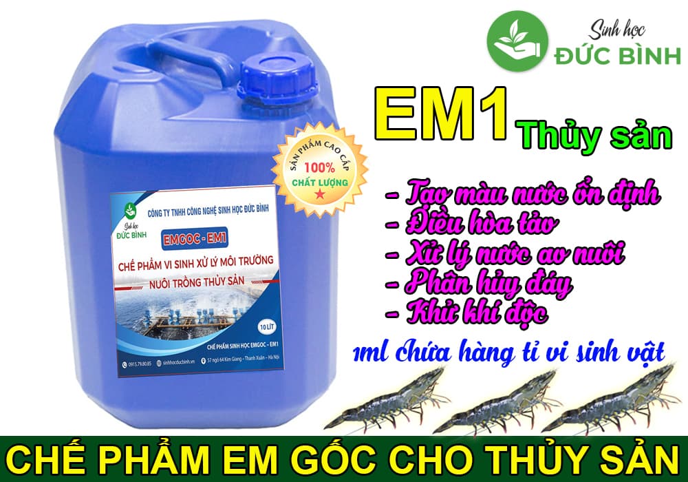 Chế phẩm EM gốc - EM1 chứa đa chủng vi sinh vật hữu hiệu