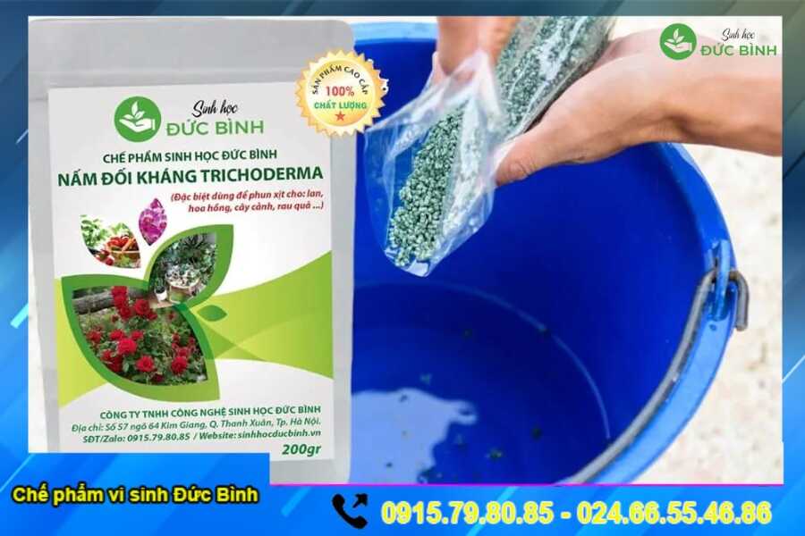 Pha nấm trichoderma với nước để tưới cây