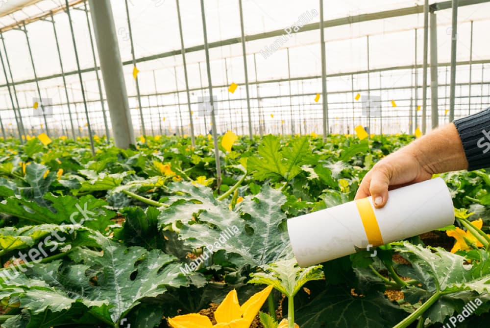 Thuốc trừ sâu vi sinh