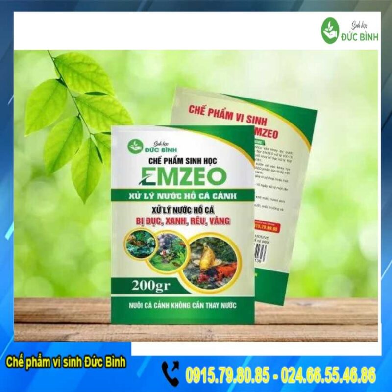 Chế phẩm vi sinh xử lý nước hồ cá cảnh