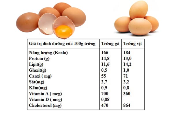 Trong trứng gà có gì mà tốt cho hoa hồng?