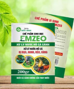 Chế phẩm vi sinh xử lý nước hồ cá cảnh