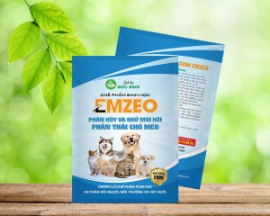 Khử mùi hôi chó mèo