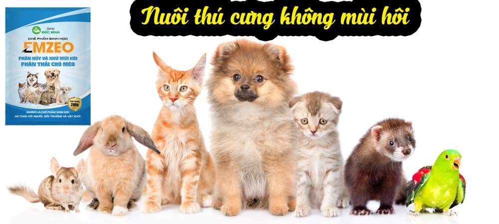 Khử mùi hôi thú cưng