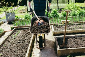 Cách sử dụng phân bón ủ khô từ bã đậu nành