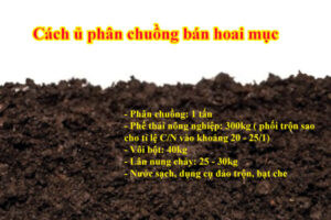 Cách ủ phân chuồng bán hoai mục 