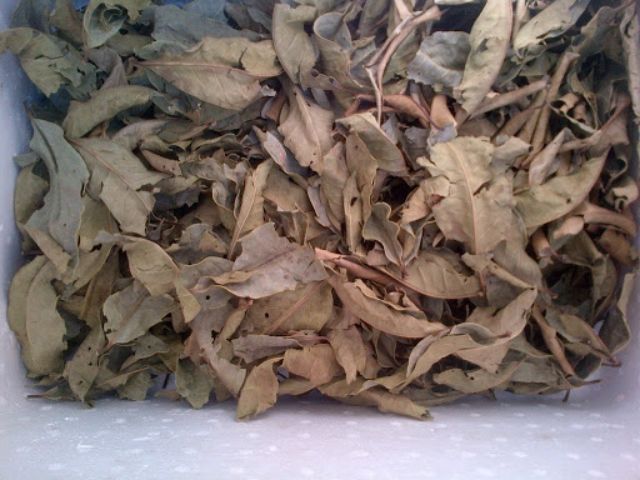 Cách làm phân hữu cơ bón cây đơn giản tại nhà