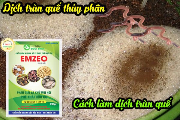 CÁCH LÀM DỊCH TRÙN QUẾ