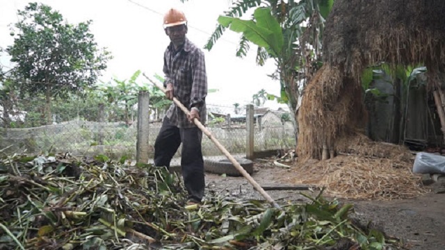 Gom rơm rạ, lá cây để làm phân hữu cơ
