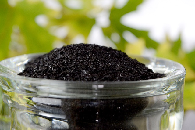 Humic là gì? Cách sử dụng Humic bón cây hiệu quả
