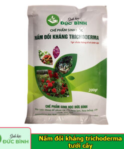 Nấm Trichoderma tưới của Chế phẩm vi sinh Đức Bình đối kháng nấm bệnh cực mạnh