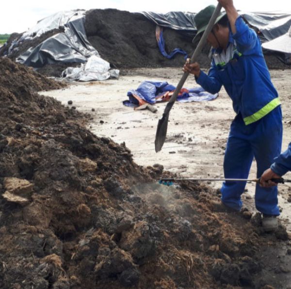 Các loại phân hữu cơ phổ biến nhất hiện nay