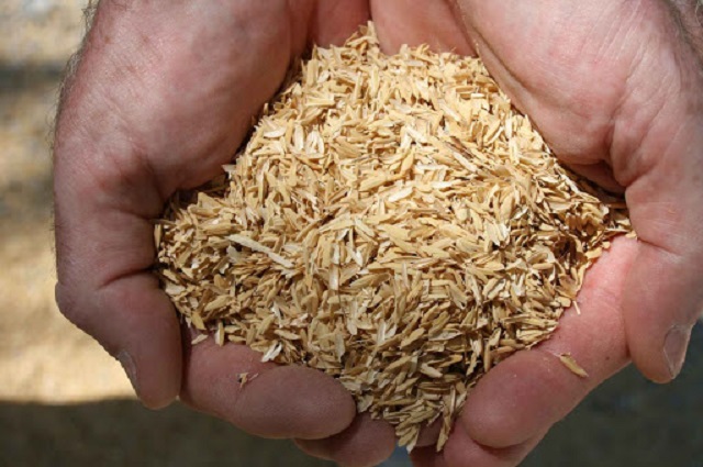 Vỏ trấu chứa hàm lượng dinh dưỡng lớn