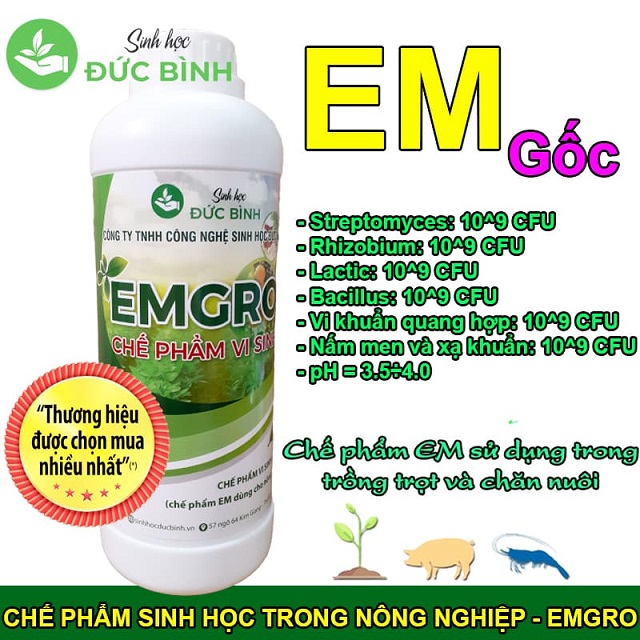 Chế phẩm EM là gì ?