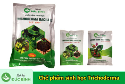 Sử dụng Trichoderma theo hướng dẫn của nhà sản xuất