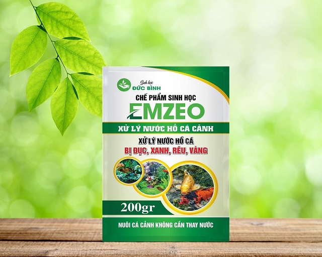 Chế phẩm vi sinh xử lý nước hồ cá Koi