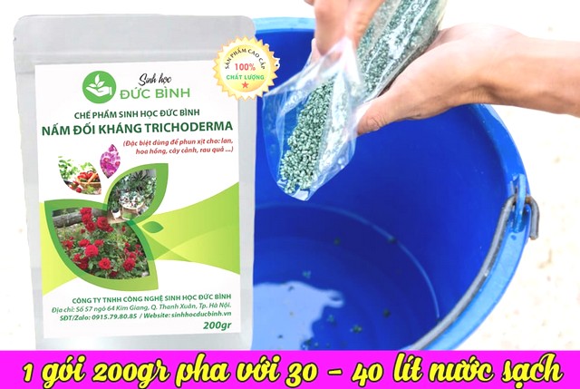 Nấm trichoderma Đức Bình sử dụng để tưới, phun