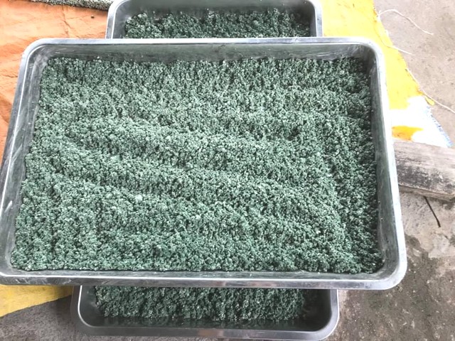 Nấm trichoderma được coi là thiên địch của các loại nấm gây hại