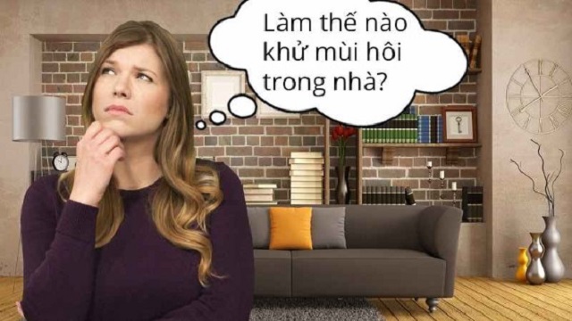 Nguyên nhân gây ra mùi hôi là gì?