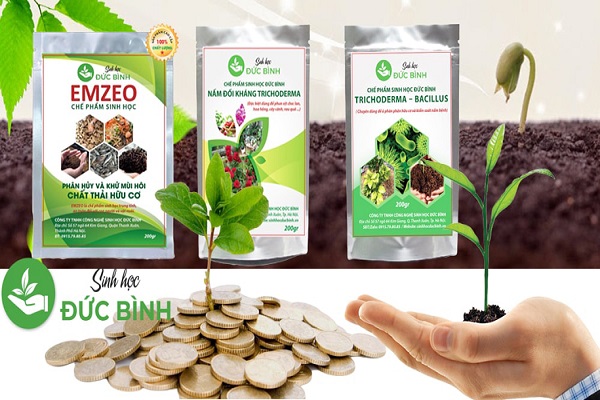 Sử dụng các chế phẩm sinh học giúp quá trình ủ phân nhanh chóng, tiết kiệm hơn