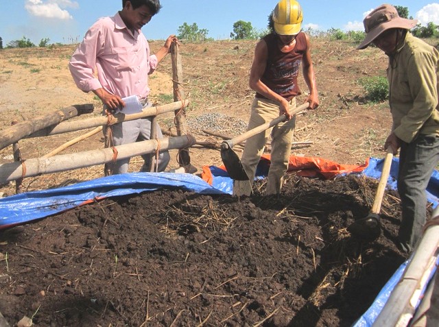 Ủ nấm trichoderma với phân chuồng và xác hữu cơ