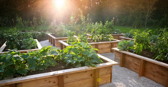 Ánh sáng và những tác nhân khác cũng đóng vai trò không nhỏ các bạn nhé