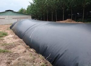 Các hầm biogas thường gặp rất nhiều vấn đề về tính vệ sinh.