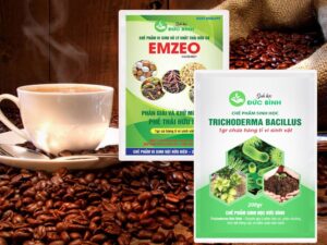 Cách ủ vỏ cà phê nhanh hoai mục không hôi hiệu quả nhất