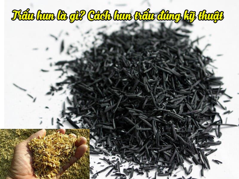 Trấu hun là gì? Cách hun trấu đúng kỹ thuật