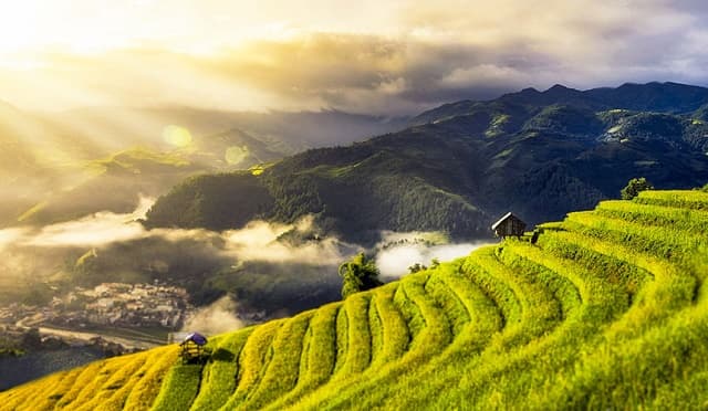 Tiết trời của mùa hè thì trồng loại rau nào là phù hợp