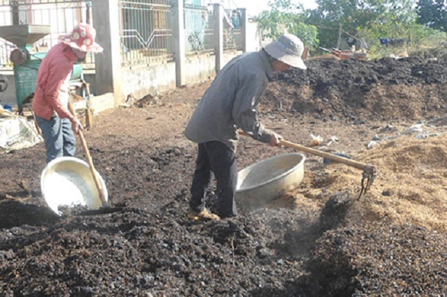 Sử dụng trichoderma trong quá trình ủ phân đem lại nhiều lợi ích