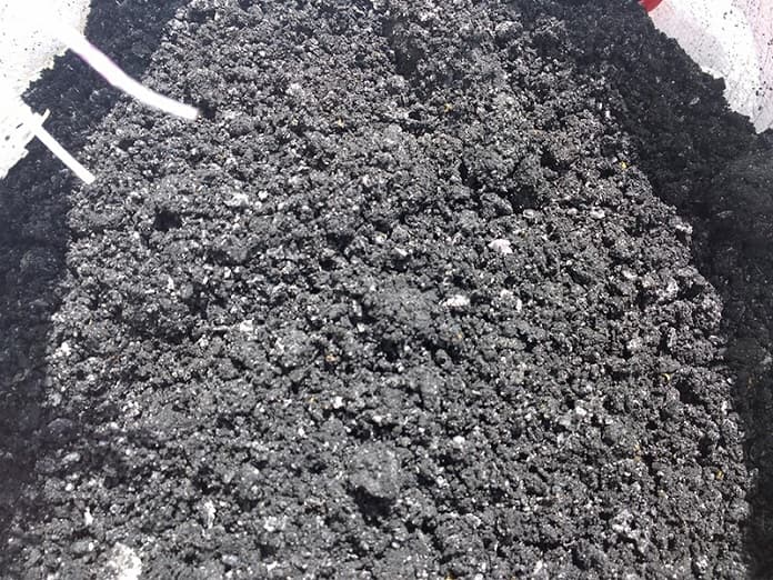 Những lưu ý khi chọn trấu tro