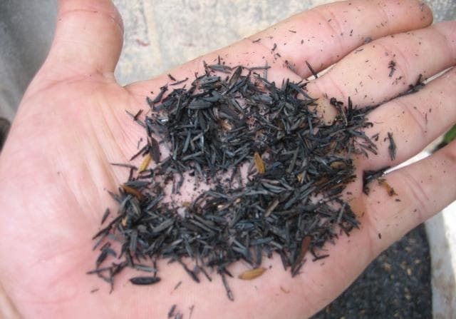 Nhược điểm của trấu hun là gì