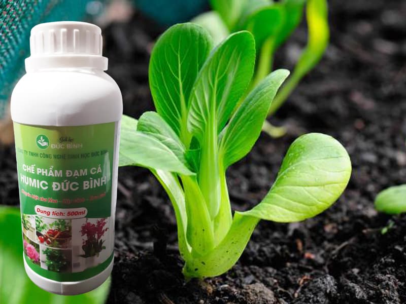 ĐẠM CÁ HUMIC ĐỨC BÌNH