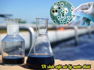 Chế phẩm vi sinh xử lý nước thải là gì?