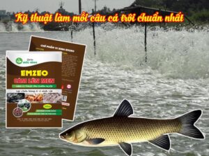 Thức ăn của cá trôi là gì? Cách làm mồi câu cá trôi hiệu quả ra sao?