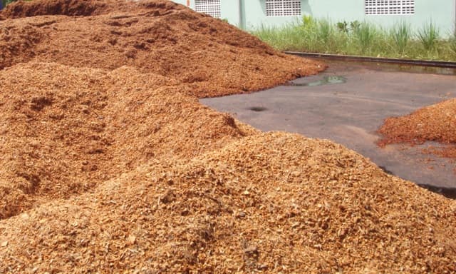 Cần xử lý xơ dừa trước khi ủ.