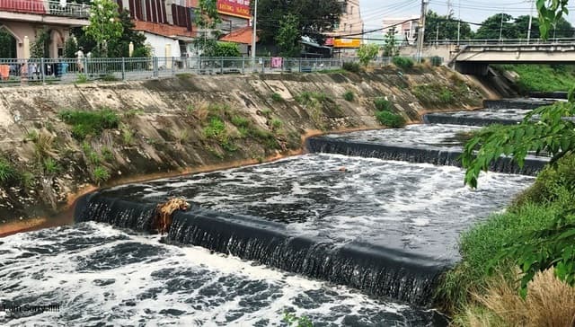 Chế phẩm vi sinh giúp giảm tình trạng ô nhiễm môi trường từ các loại nước thải